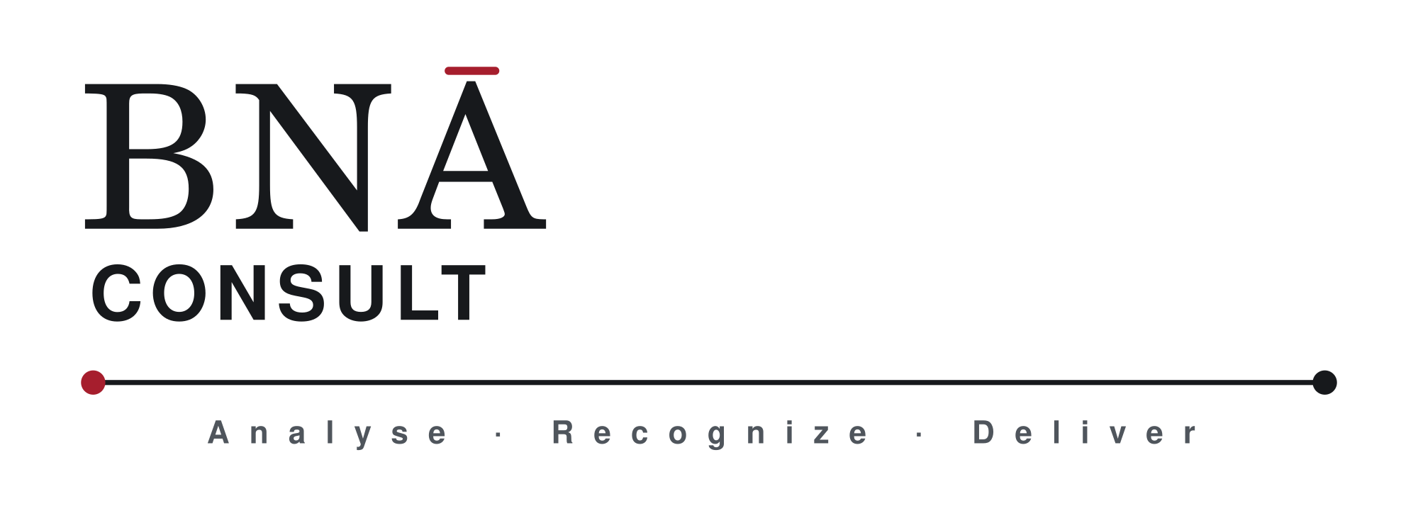 BNA Consult